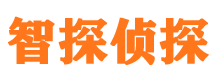 怀安市私家侦探